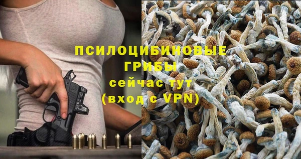 каннабис Алексеевка