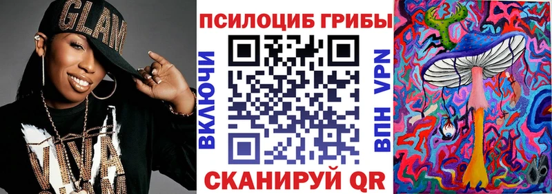 купить Шилка Галлюциногенные грибы Psilocybine cubensis